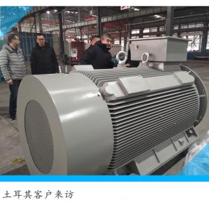 1000kw 2000kw 140rpm Direct Drive Ball Mill Sychronous High Efficiency Permanent Magnet Motor 1000kw 2000kw 140rpm Direct Drive Ball Mill Sychronous High Efficiency Permanent Magnet Motor