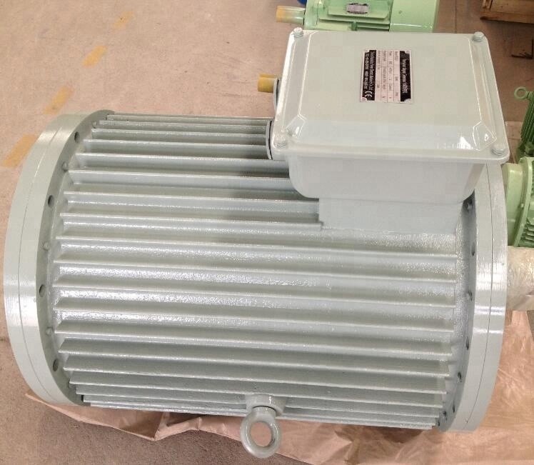 280kw 250rpm Low Speed Vertical Permanent Magnet Generator