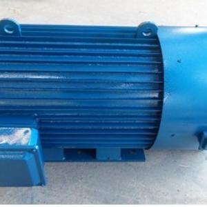 300kw 280rpm Permanent Magnet Sychronous Generator for Hydro Plants 300kw 280rpm Permanent Magnet Sychronous Generator for Hydro Plants