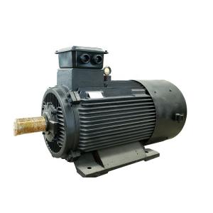 380V 50Hz 100kw~400kw Permanent Water Generator Alternator for Sale 380V 50Hz 100kw~400kw Permanent Water Generator Alternator for Sale