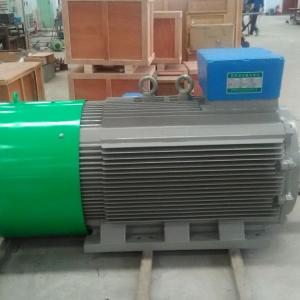750kw 111.6rpm 60Hz Horizontal Permanent Magnet Generator