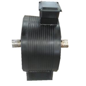 Customized Double Shaft Horizontal Wind Power Low Rpm Dynamo Permanent Magnet Generator/ Alternator (1kw) Customized Double Shaft Horizontal Wind Power Low Rpm Dynamo Permanent Magnet Generator/ Alternator (1kw)