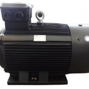 High Voltage High Efficiency Permanent Magnet Synchronous Motor High Voltage High Efficiency Permanent Magnet Synchronous Motor