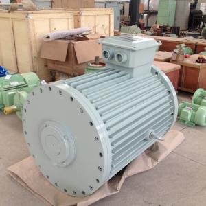 Low Speed Hydro Turbine Permanent Magnet Generator 10kw 300rpm 60Hz Low Speed Hydro Turbine Permanent Magnet Generator 10kw 300rpm 60Hz