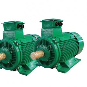 Low Speed Hydro Turbine Permanent Magnet Generator 60Hz