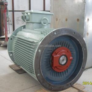 Permanent Magnet Synchronous Motor Permanent Magnet Synchronous Motor