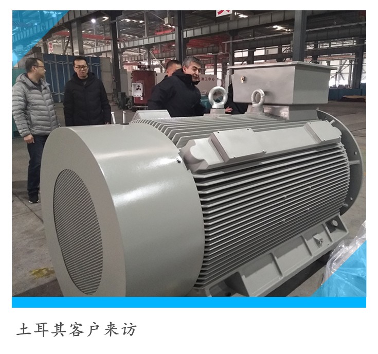 Special Permanent Magnet Synchronous Motor for Compressor
